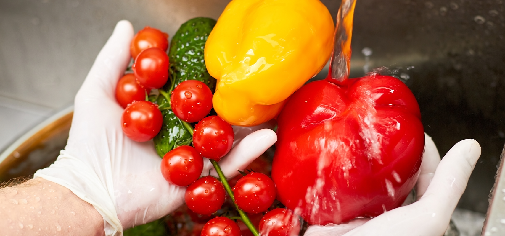 Томат шеф повар. Помидоры босс. Томат шеф губерт. Томаты с антоцианом сорта. Томат шеф повар.